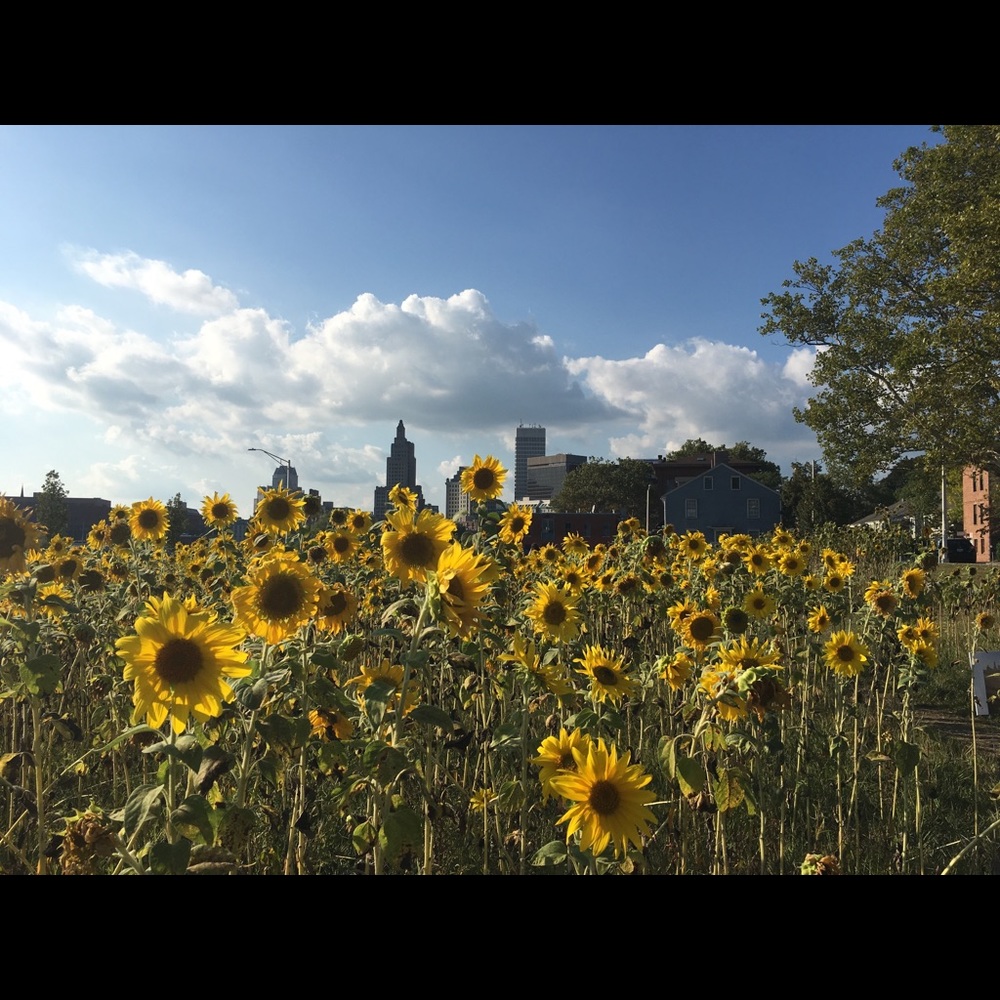 Meet your Posher, Elena